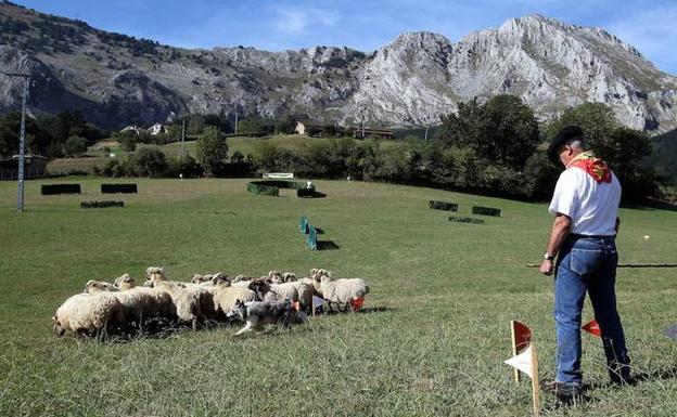 El campeonato se celebrará el sábado por la tarde en las campas de Elizaburu, en Axpe.