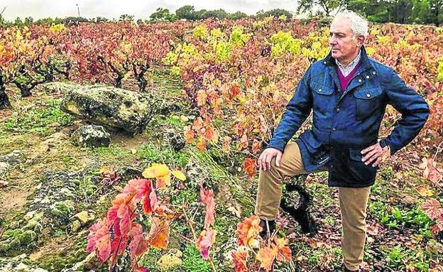 Juan Luis Cañas, de bodegas Amaren, en la finca 'El Rebollar', que pretende identificar como viñedo singular./Justo Rodríguez