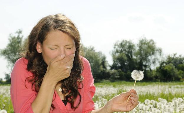 Guía para sobrellevar una primavera «con mucho polen» en Bizkaia