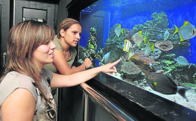 Dos mujeres observan los peces del Getxo Aquarium./PEDRO URRESTI