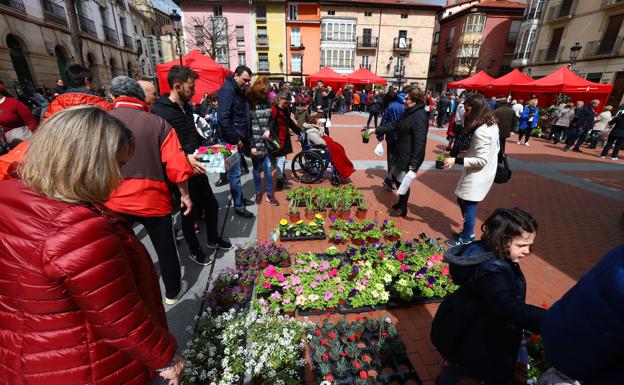 Las flores y plantas que se vieron y pudieron adquirirse en la plaza del Ayuntamiento dieron colorido a la jornada. /Avelino Gómez