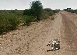 Detalle de la foto de la polémica con el burro tumbado. / RC/