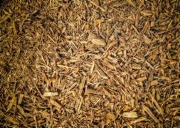 Los desechos del tratamiento de maderas y otras plantas pueden convertirse en biocombustibles. Luiggi Mussardo/