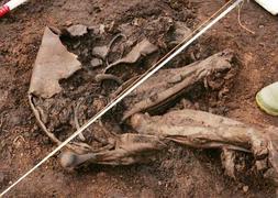 La momia irlandesa datada en 4.000 años. / Archivo/