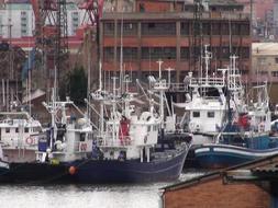 Arrantzales de Bermeo se refugian en el puerto de Bilbao por temor de un empeoramiento del tiempo