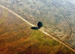 La cara más agria del Amazonas./ Foto: REUTERS/