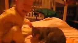 El bebé y el gato se acaban dando una buena tunda. /Youtube/