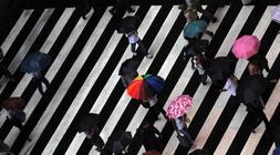 Peatones cruzan un paso de cebra bajo la lluvia./ Agencias/