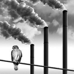 Cambio climático y desarrollo humano (Mikel Mancisidor y Josu Sanz)