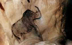 La cueva de Zubialde fue definida como 'la otra capilla sixtina de la prehistoria'. / EL CORREO/
