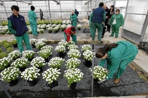 En el vivero. Aspodemi es una entidad que funciona vía contrato con el Ayuntamiento./ AVELINO GÓMEZ/