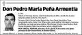 PEÑA ARMENTIA,PEDRO MARIA
