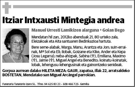INTXAUSTI MINTEGIA,ITZIAR