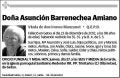 BARRENECHEA AMIANO,ASUNCION