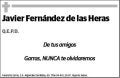 FERNANDEZ DE LAS HERAS RARO,JAVI