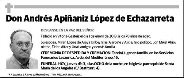 APIÑANIZ LOPEZ DE ECHAZARRETA,ANDRES