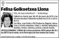 GOIKOETXEA LLONA,FELISA
