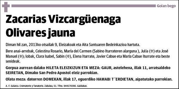 VIZCARGUENAGA OLIVARES,ZACARIAS
