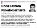 PINEDO BERRUETA,CASTORA