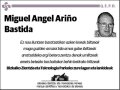 ARIÑO BASTIDA,MIGUEL ANGEL