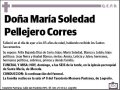 PELLEJERO CORRES,MARIA SOLEDAD