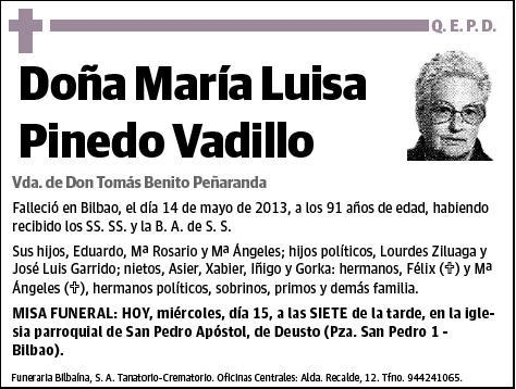 PINEDO VADILLO,MARIA LUISA