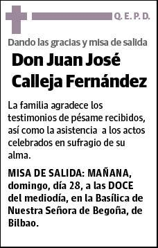 CALLEJA FERNANDEZ,JUAN JOSE