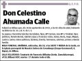 AHUMADA CALLE,CELESTINO