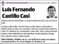 CASTILLO CASI,LUIS FERNANDO