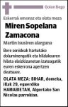SOPELANA ZAMACONA,MIREN