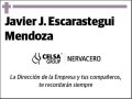 ESCARASTEGUI MENDOZA,JAVIER J.
