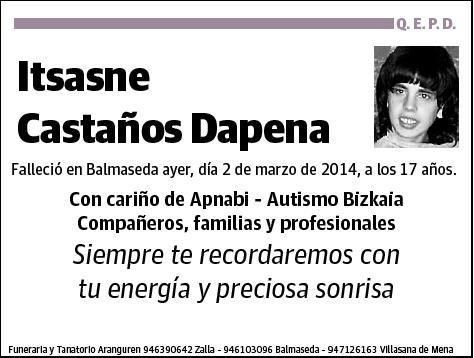CASTAÑOS DAPENA,ITSASNE