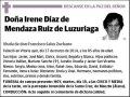 DIAZ DE MENDAZA RUIZ DE LUZURIAGA,IRENE