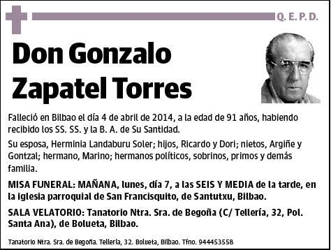 ZAPATEL TORRES,GONZALO