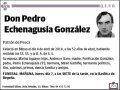 ECHENAGUSIA GONZALEZ,PEDRO