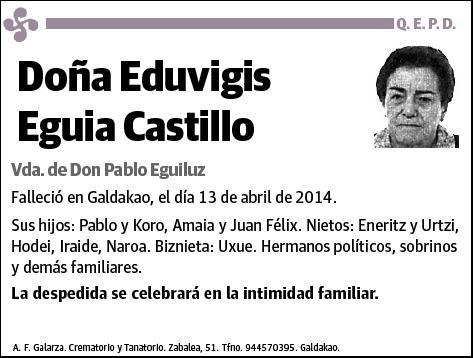 EGUIA CASTILLO,EDUVIGIS