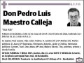 MAESTRO CALLEJA,PEDRO LUIS