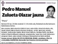 ZULUETA OLAZAR,PEDRO MANUEL