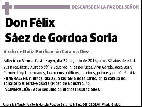 SAEZ DE GORDOA SORIA,FELIX