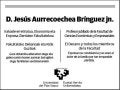 AURRECOECHEA BRINGUEZ,JESUS