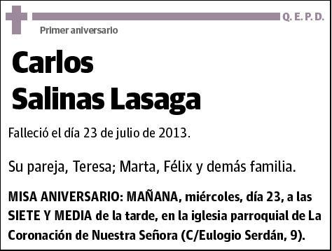 SALINAS LASAGA,CARLOS