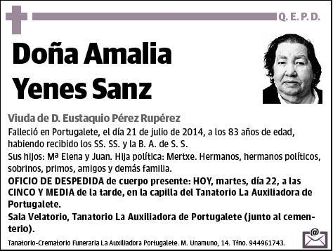 YENES SANZ,AMALIA