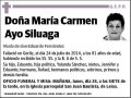 AYO SILUAGA,MARI CARMEN