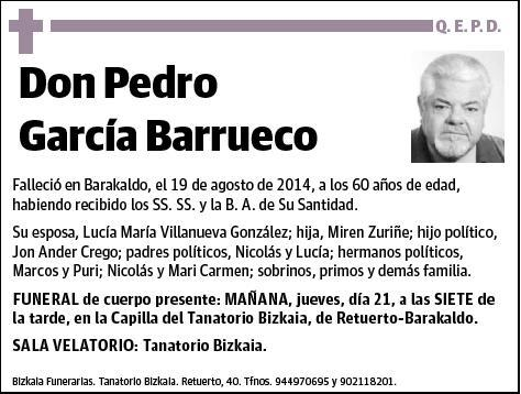 GARCIA BARRUECO,PEDRO
