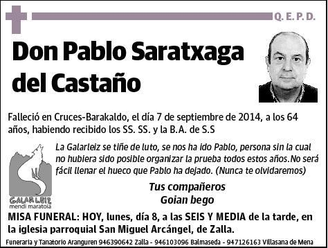 SARATXAGA DEL CASTAÑO,PABLO
