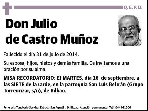 DE CASTRO MUÑOZ,JULIO