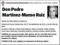 MARTINEZ-MANSO RUIZ,PEDRO