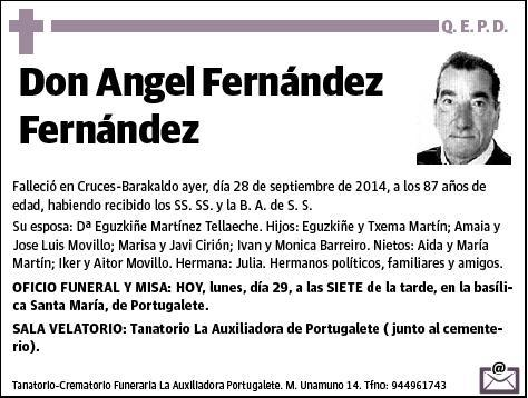 FERNANDEZ FERNANDEZ,ANGEL
