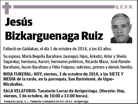 BIZKARGUENAGA RUIZ,JESUS