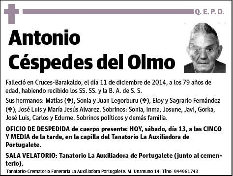 CESPEDES DEL OLMO,ANTONIO